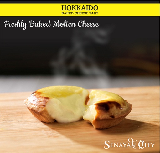 Hokkaido Baked Cheese Tart
