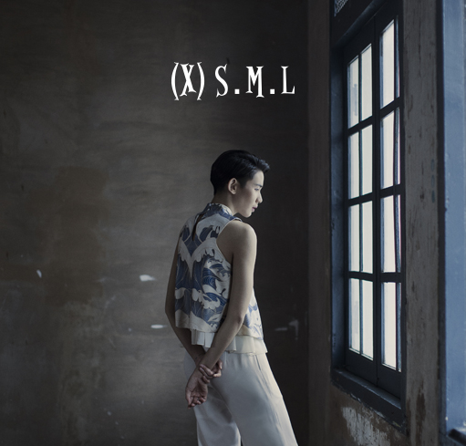 (X)S.M.L