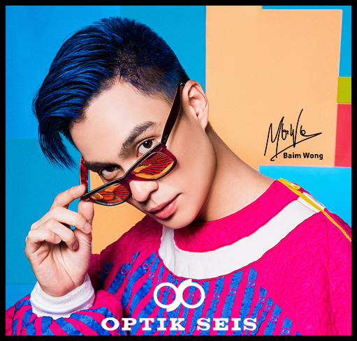 OPTIK SEIS
