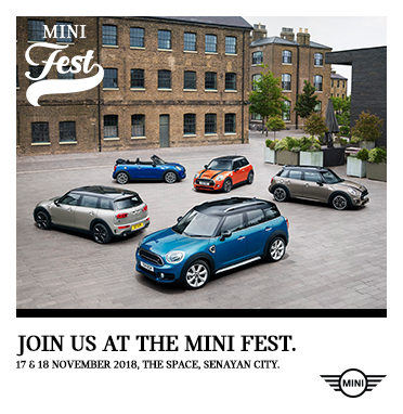 THE MINI FEST