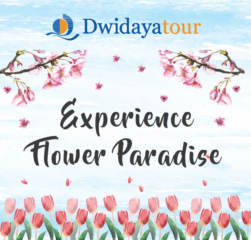 Experience Flower Paradise with Dwidaya Tour