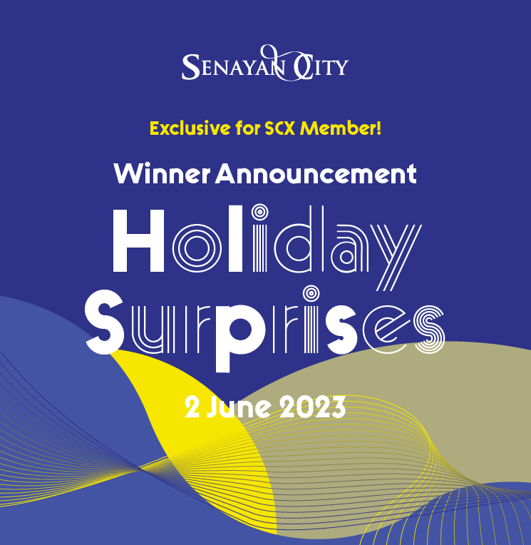 WINNER ANNOUNCEMENT HOLIDAY SURPRISES