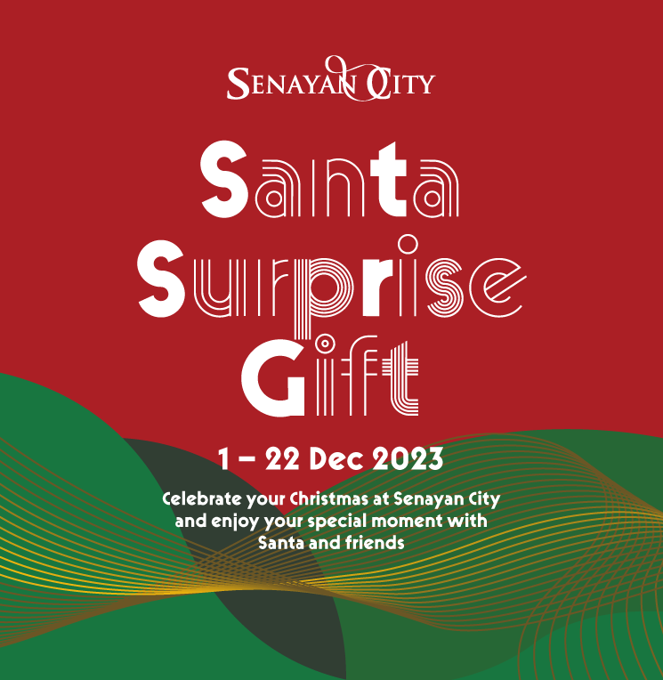 SANTA SURPRISE GIFT